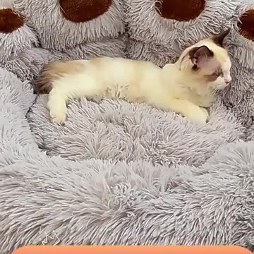paw shaped plush pet bed warm soft small large