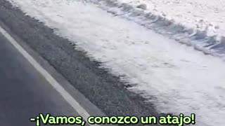 Enorme manada de renos bloquea una carretera en Rusia