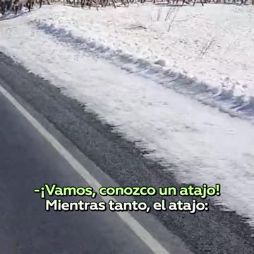 Enorme manada de renos bloquea una carretera en Rusia
