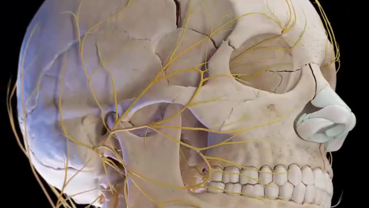 Stroke treatment — no surgery, just 8 minutes!