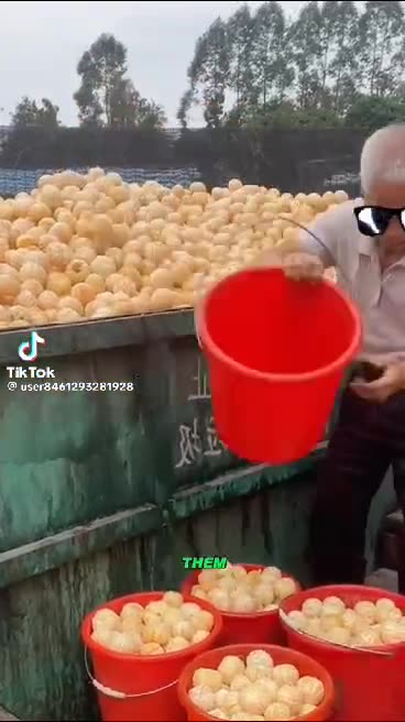 Citrus peelings anyone?