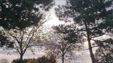 « La vraie force ne détruit pas, elle protège. » — Ken le Survivant