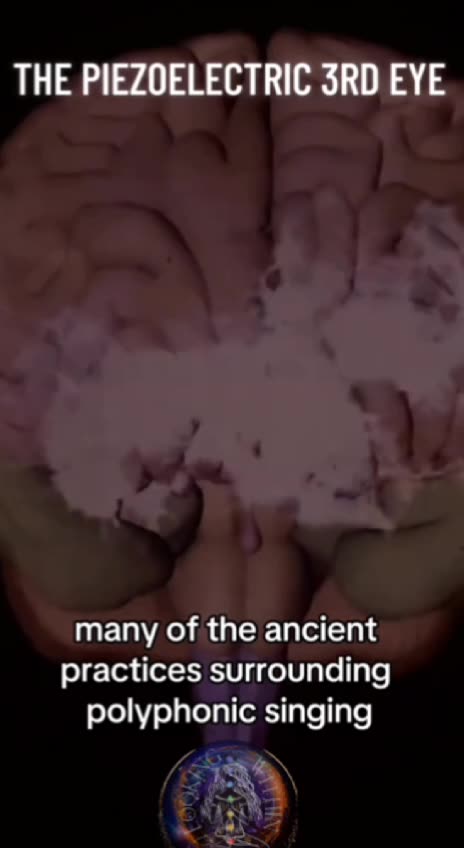 The Piezoelectric Pineal Gland