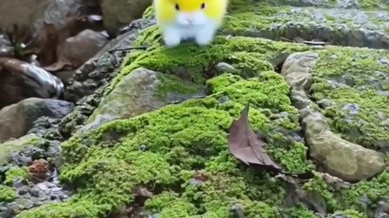 حيوانات اليفه