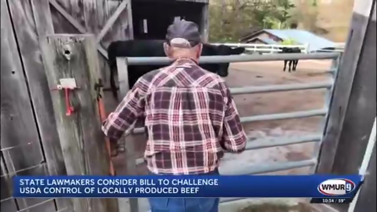 🇺🇸 NEW HAMPSHIRE FARMERS