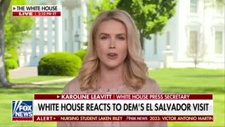 Karoline Leavitt issues warning to illegal immigrants