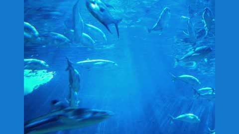 Get Your Glow On! THE TRENDING STAR INGREDIENT: SNAIL MUCIN