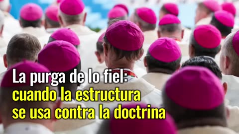 ¡Alerta! La Virgen revela los lobos vestidos de oveja en la Iglesia