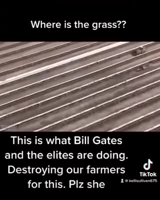 Bill Gates | American Food Supply