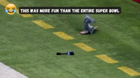 Play On Field