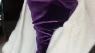 Sensual Purple Attire Passionate Posing | Daily Beauty EP 1348