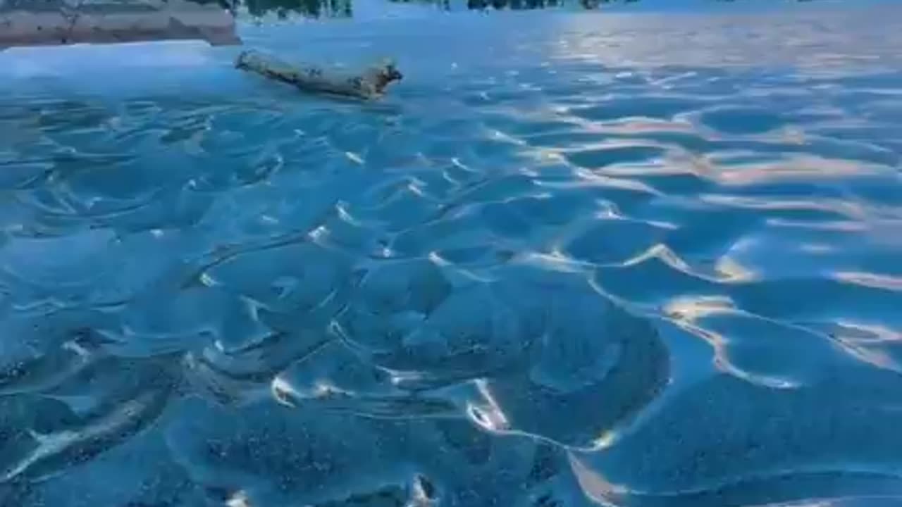 Icy Waves Frozen in Time at Dream Lake, Rocky Mountain National Park.