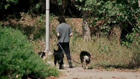 Israels Real Extremism