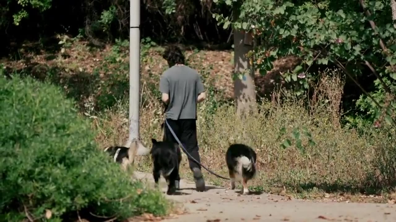 Israels Real Extremism