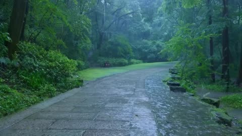 The sound of rain on mountain roads