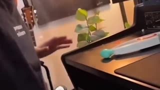 😂 Bop It! | FunFM