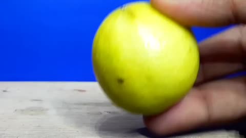 Amazing: LED light lemon science experiment project / simple electronics science