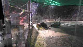 Robo Riots Dublin 2025: Ripper 6 Vs Ripper 8