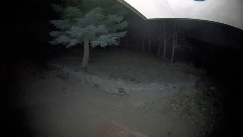 🌲🌌 Wilderness Cabin (2nd Video) - Same Location as Prior Post, From Oct 2021. Green Flash at the End