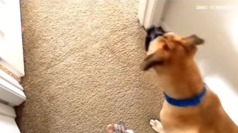 😱👻 What Is He Seeing? Jinn Activity | TheHauntingHour