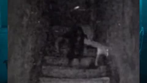 😨📸 Creepy Photos That Will Haunt You! Ghostly Images | TheHauntingHour