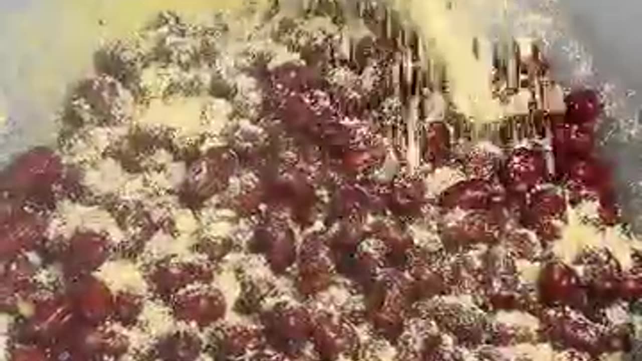 Layered Yellow Rice Date Cake from Wuxiang – Sweet, Soft, and Irresistible!