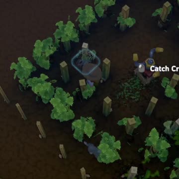 Kiwi Jungle :D Luma Island