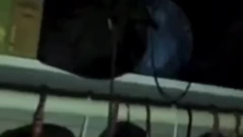 😨👹 Always Check Your Closet Before Bed... Demon Caught on Camera! | TheHauntingHour