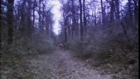 Commander USA's Groovie Movies: Hercules II