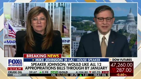 Speaker Johnson explains why he wants to repeal provision allowing Senate GOP to sue govt