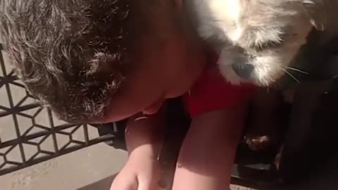 Boy and Dog Stuck in a Dog Crate