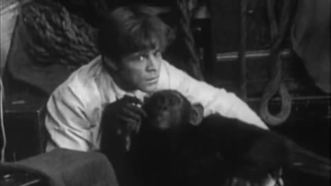 The New Adventures of Tarzan S01E01 The New Adventures of Tarzan