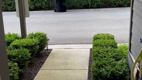 I Didn’t Need to Go Outside Anyway…