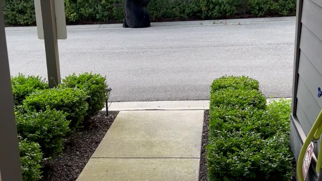 I Didn’t Need to Go Outside Anyway…