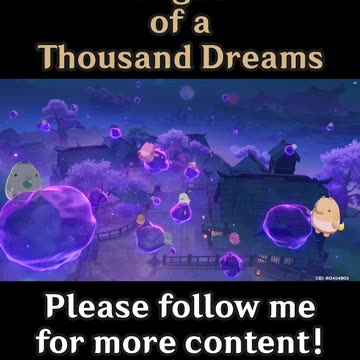 Night of a Thousand Dreams 1