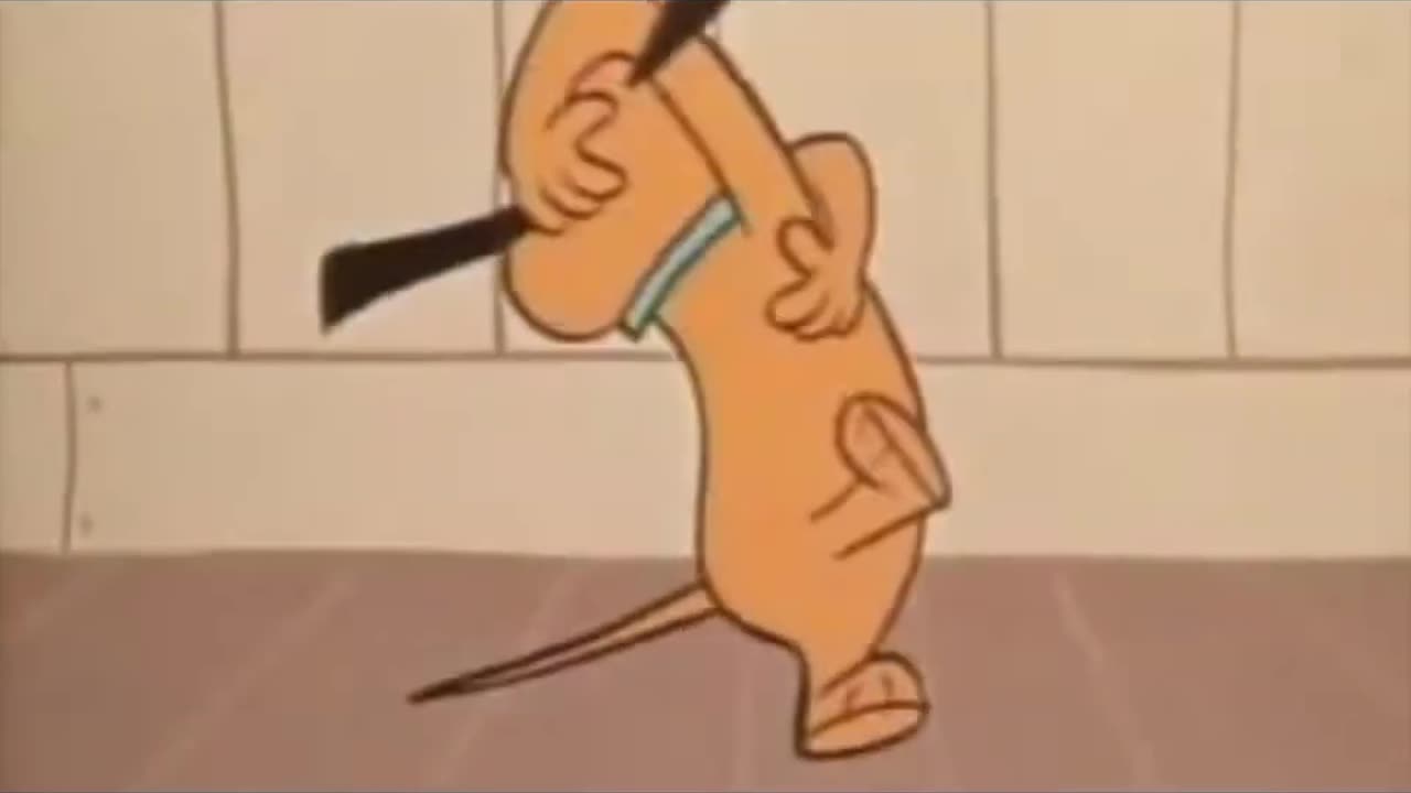 NZ 20250604 Did Owl Like It Ruff?