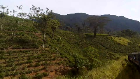 Scenic Train Journey Through Sri Lanka’s Breathtaking Landscapes