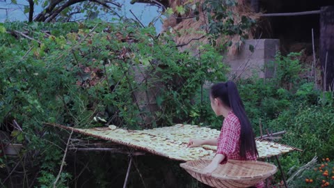 Pickled Papaya - The King of Sour Fruits in My Mind