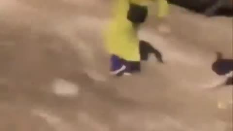 Islamophobic ostrich.