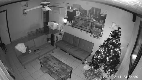 😨👻 You Won't Believe What They Caught on Camera! Ghost | TheHauntingHour