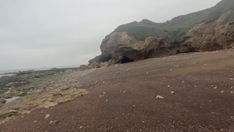 23/07/25 15mile trail run with molly and willow