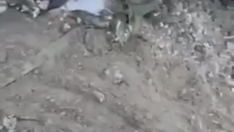 Ukraine war combat footage 10/4/25