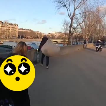 Police in Paris forcefully arrest an illegal migrant who was selling illegally on the