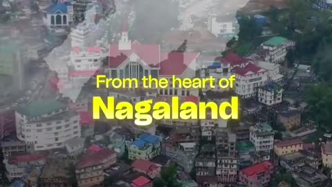 Admissify is proud to be part of NEIMUN 2025