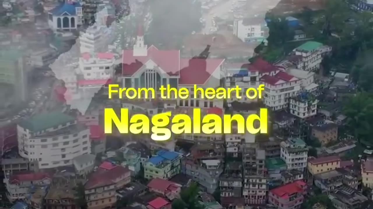 Admissify is proud to be part of NEIMUN 2025