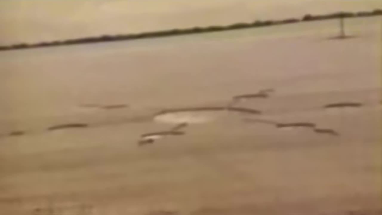 👽🔭 What's this strange object in the sky? Identify it in the comments! | TheTruthAbove