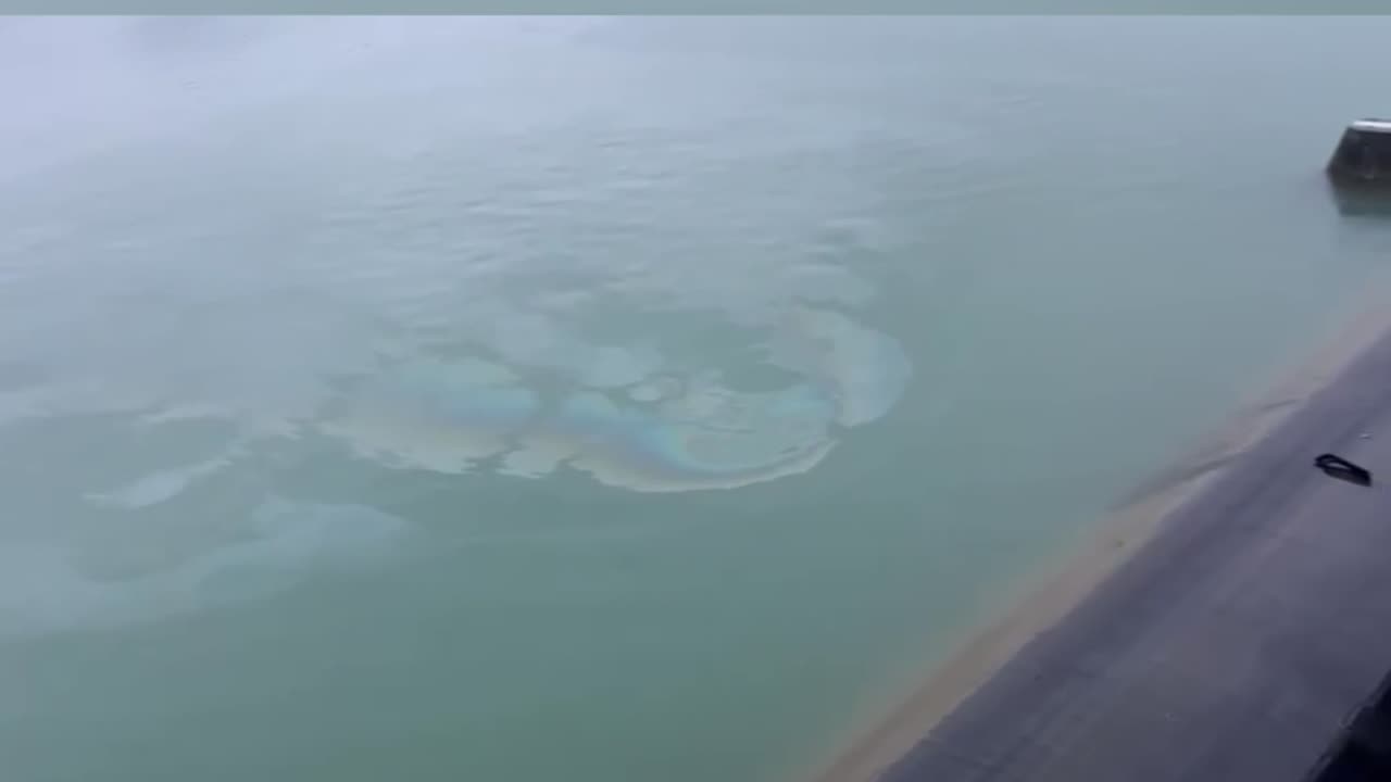 Makina me 3 persona bie në liqenin e Vau i Dejës