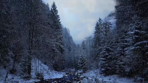 "Success is the ability to go from one failure to another with no loss of enthusiasm."