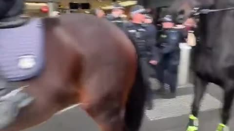 Clashes erupt between Far-Left Activists And Aussie Patriots During the March for Australia