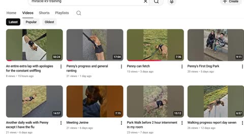 How did Murdaugh get Blind Sided in the First Place ?